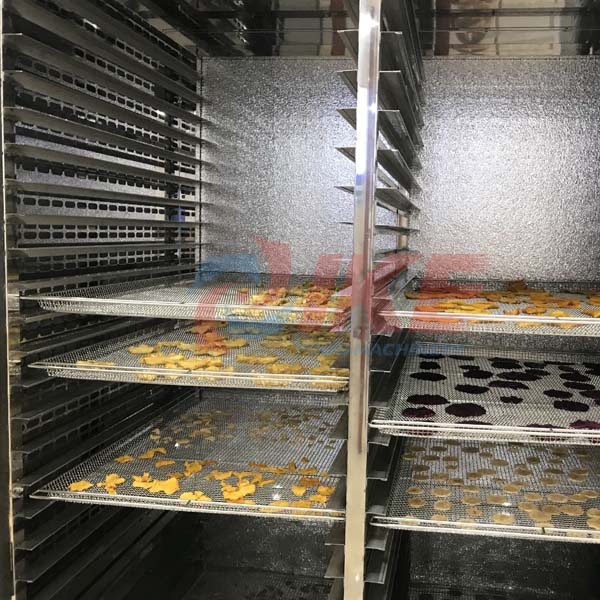 Stainless steel fruit drying cabinet