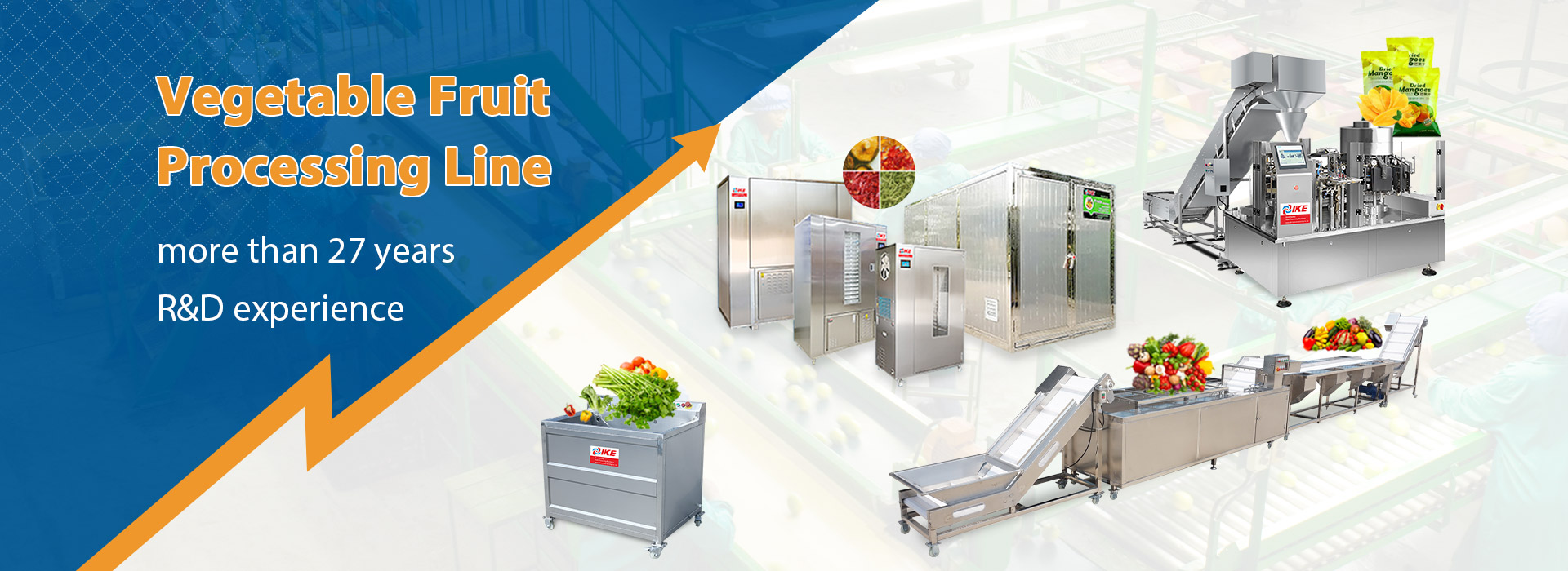 Vegetable Fruit Processing Line