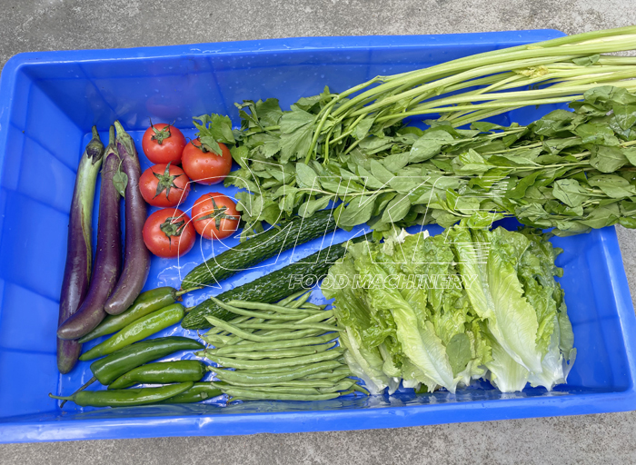 Leaf vegetable washing machinery