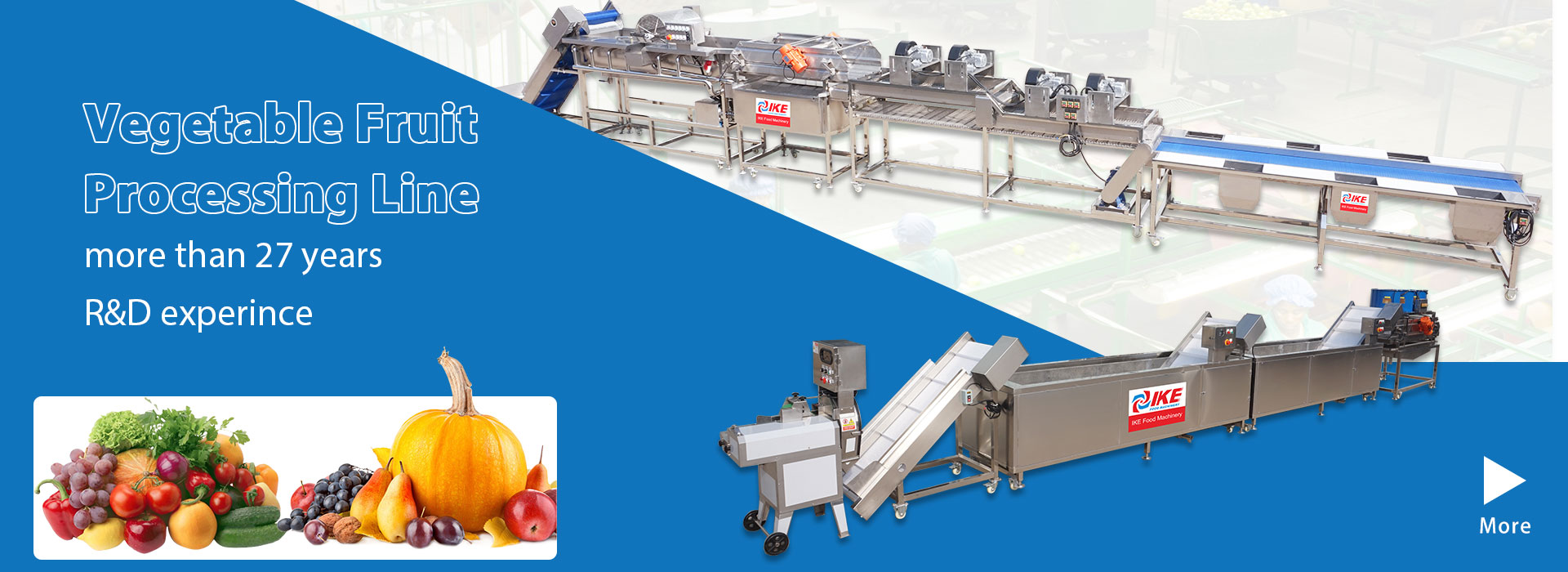 Vegetable Fruit Processing Line