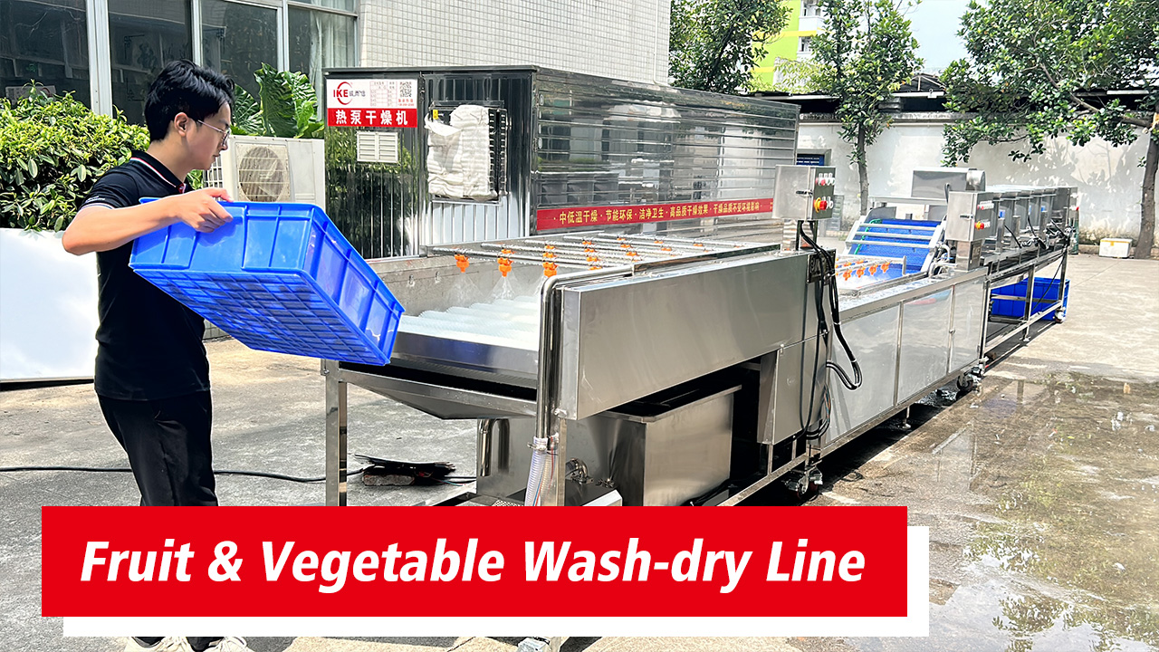 IKE Vegetable and Fruit Washing & Drying Line