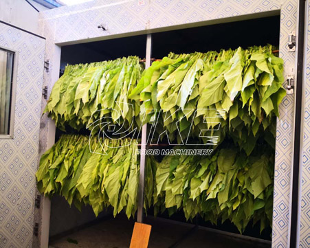 How to dry fresh tobacco leaves?