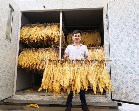 How to dry fresh tobacco leaves?