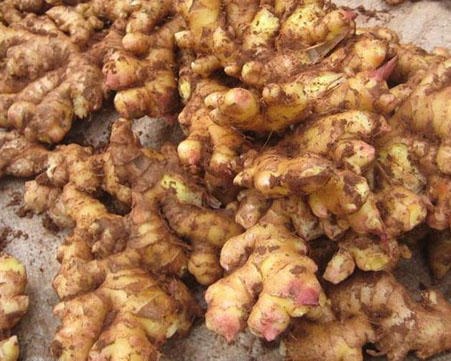 How to effectively clean and peel ginger?