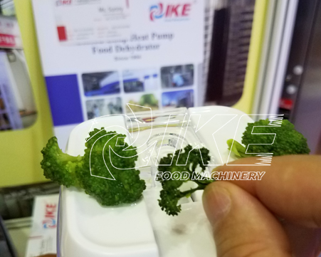 How to dry fresh broccoli while maintaining its original color?
