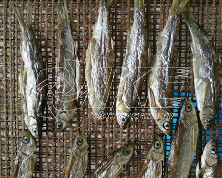 What machinery can be used to dry fish better and faster?cid=26
