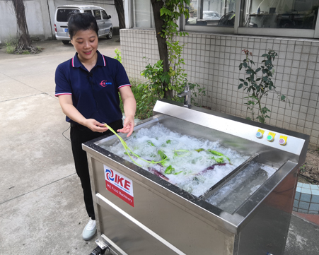 How to wash lettuce, peppers and tomatoes with bubble washing machine?cid=23