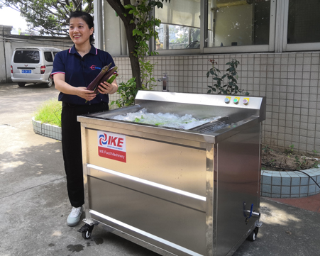 How to wash lettuce, peppers and tomatoes with bubble washing machine?cid=23