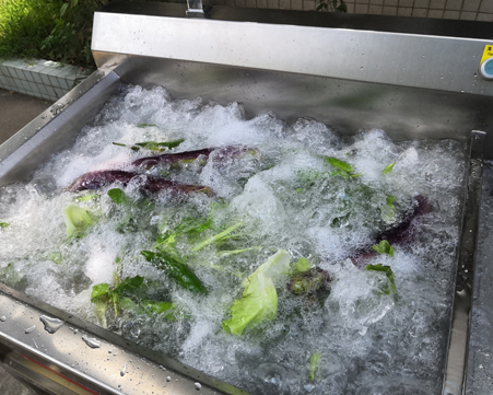 How to wash lettuce, peppers and tomatoes with bubble washing machine?cid=23