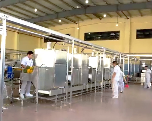 Food processing  solution.jpg