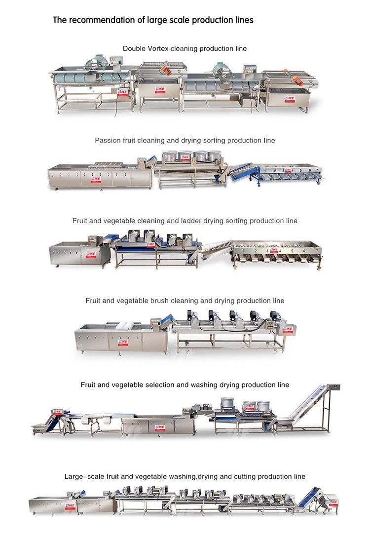 Vegetable washing disinfection and dehydration production line