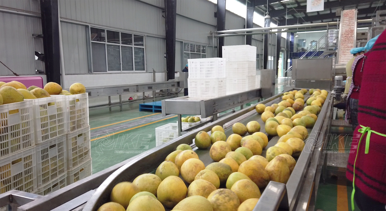 Industrial-grade fruit processing workshop construction case
