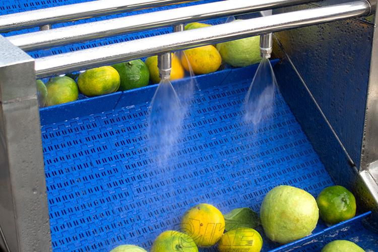 Commercial Ozone Bubble Fruit Vegetable Washing Machine
