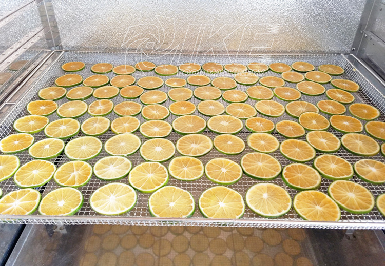 DS-S200 Commercial Electric Fruit Lemon Slice Cutting Machine
