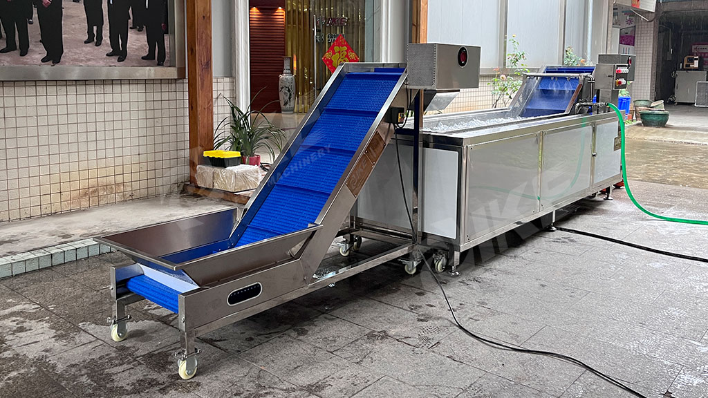 Fruit and Vegetable Washing Line