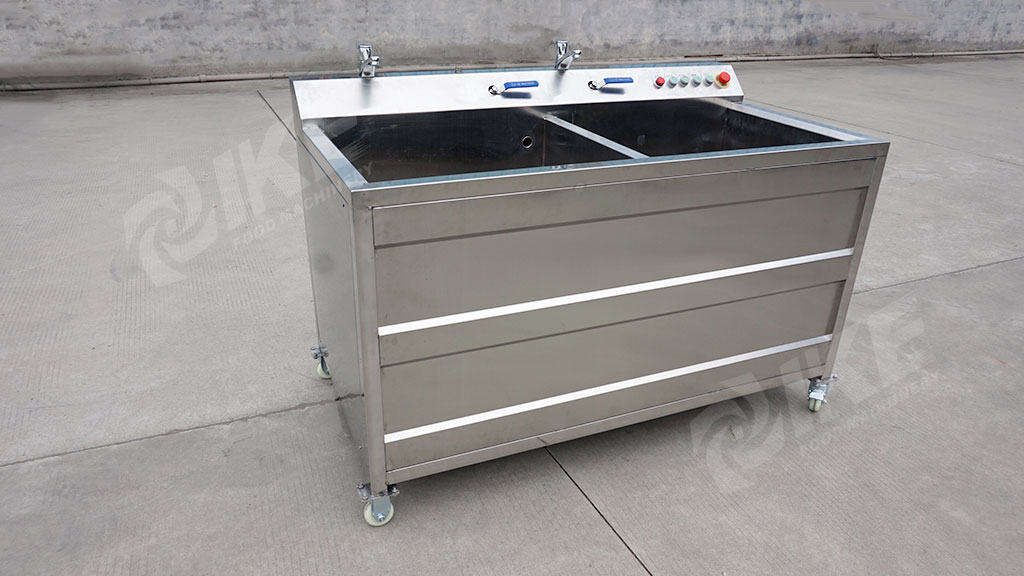 DS-WB150 Vegetable And Fruit Cleaning Machine For Carrot Onion Beet Cleaning