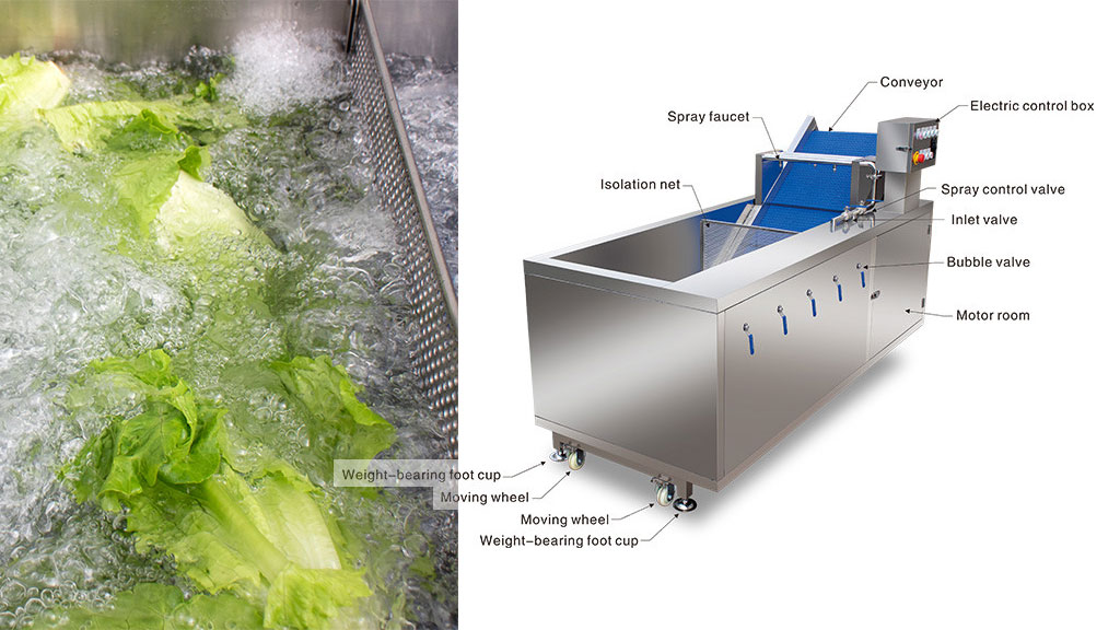 DS-WB260 Electric Cleaning Machine for Leaf Vegetable Fruit with Ozone Disinfection and Bubble Washing Function