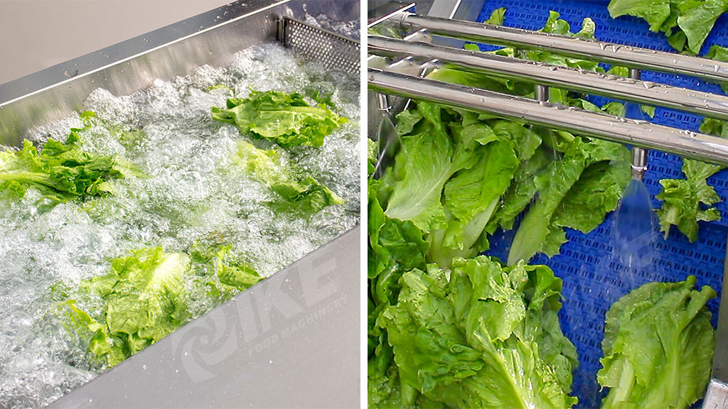 Automated Leafy Vegetable Fruit Lettuce Cabbage Bubble Washing Ozone Washer  Cleaning Machine - China Ozone Vegetable Washer, Ozone Fruit and Vegetable  Washing Machine