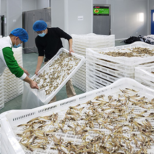 seafood-processing-plant.jpg