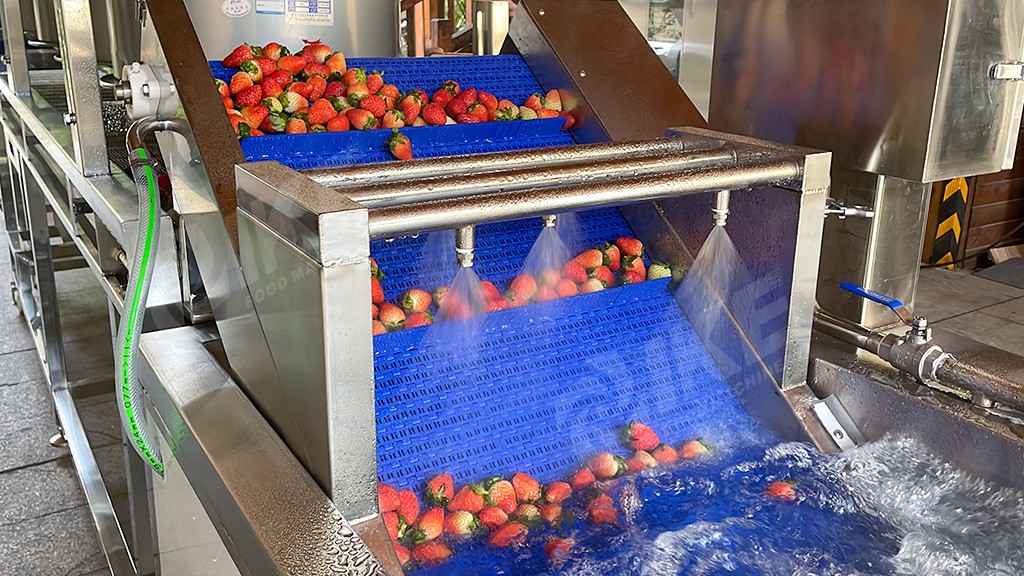 Fruit and Vegetable Washing Line