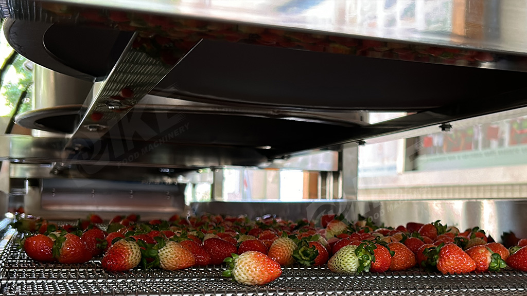 Fruit and Vegetable Washing Line