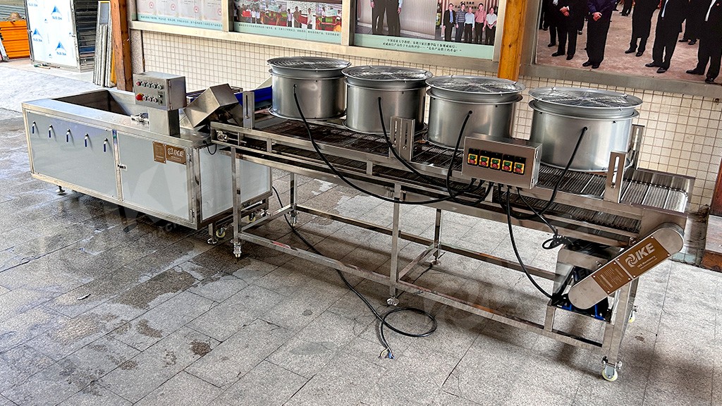 Large Strawberry Washing Machine for Agriculture and Farm Use