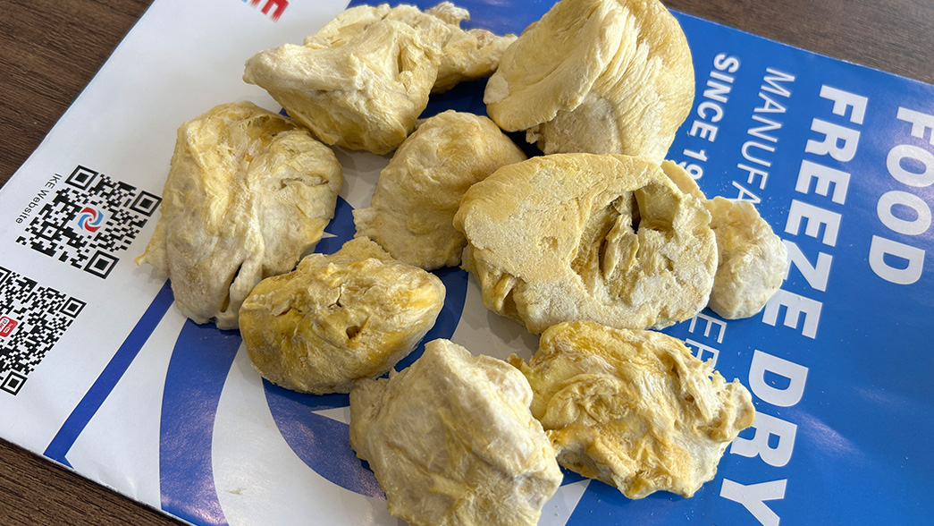Indonesian Customer Visits Our Factory for Durian Freeze Drying Equipment