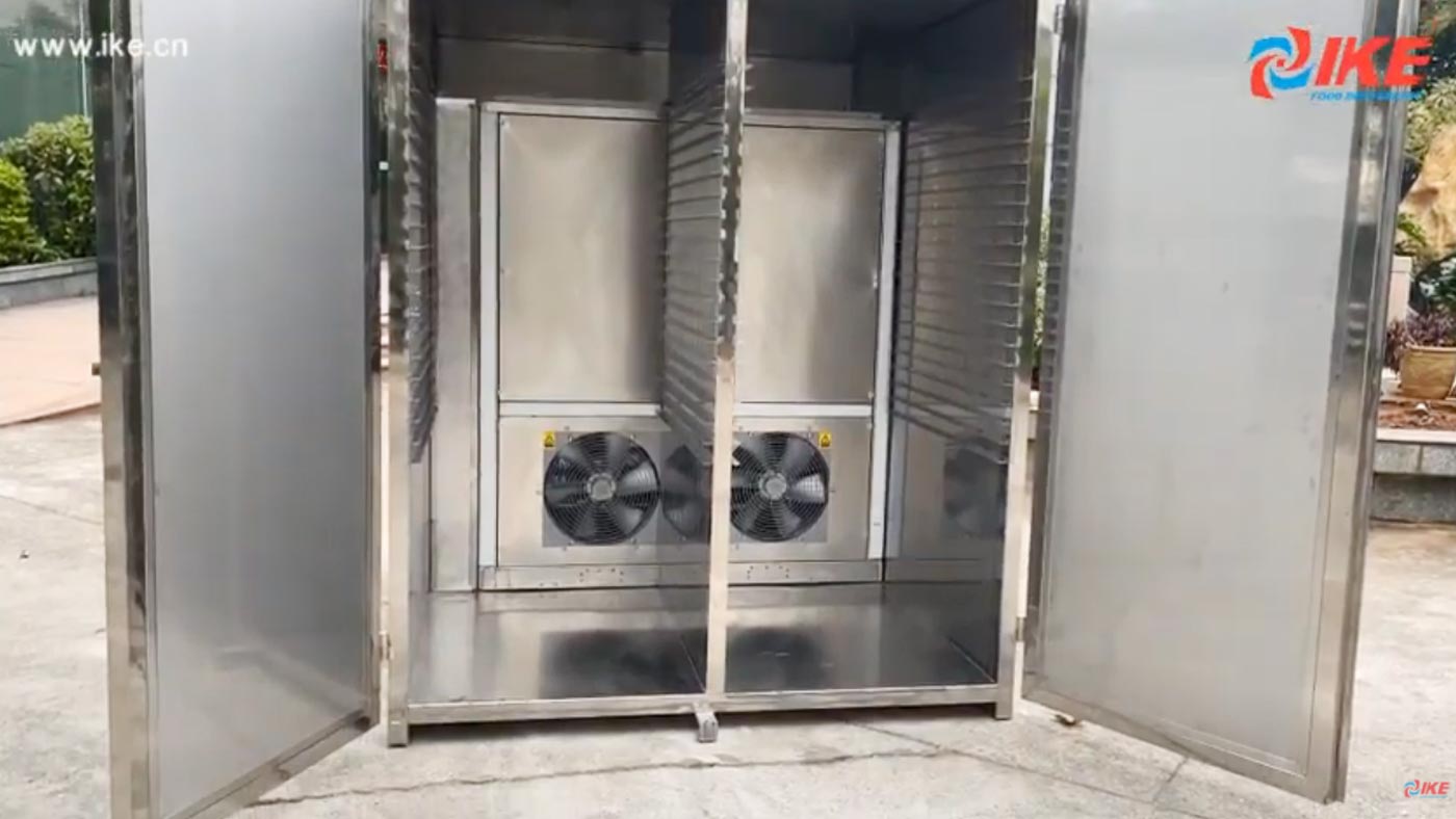 IKE AIO DF600 super size cabinet food drying machine