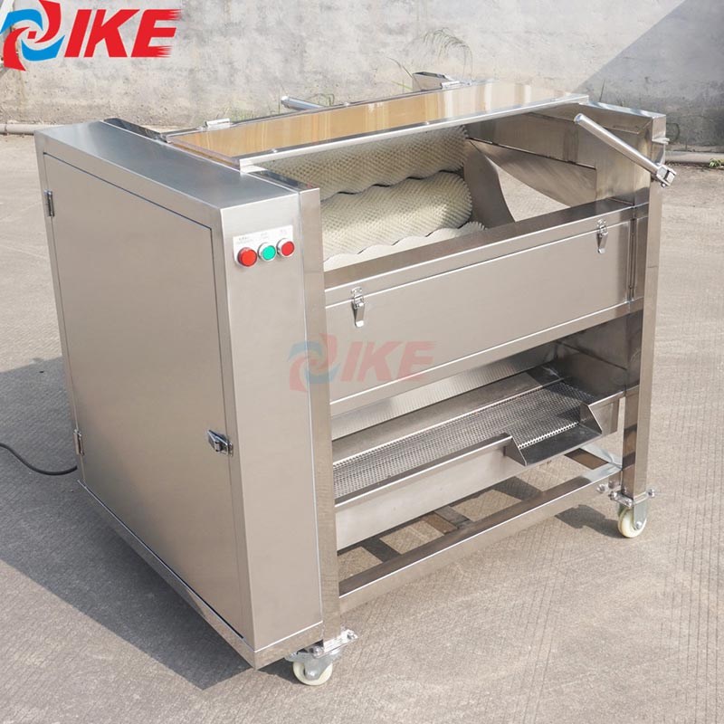 Vegetable brush clean machine