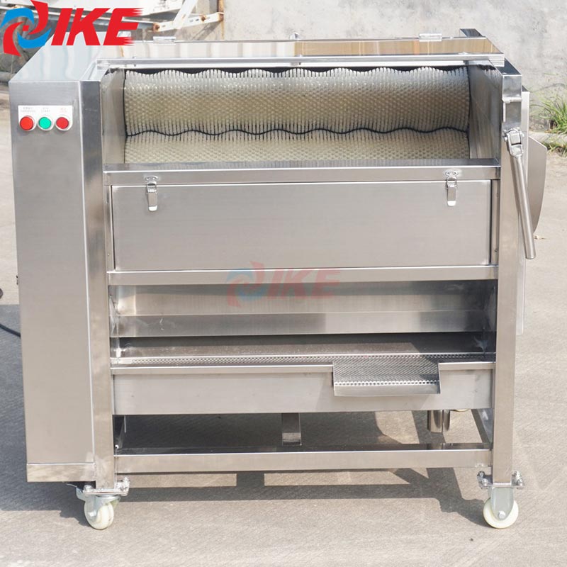 taro peeling machine