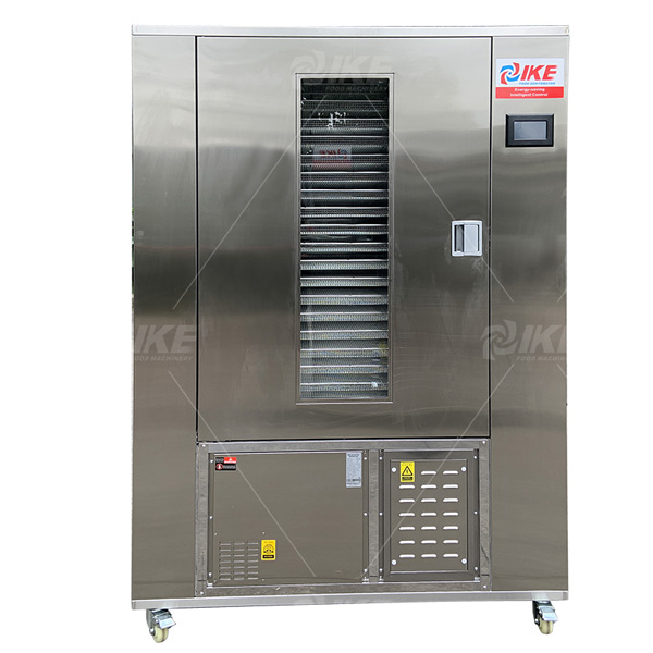 WRH-100GN Food Dehydrator for Fruit Vegetable and Meat