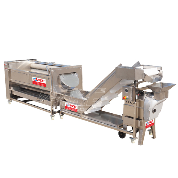 Lotus root cleaning machinery