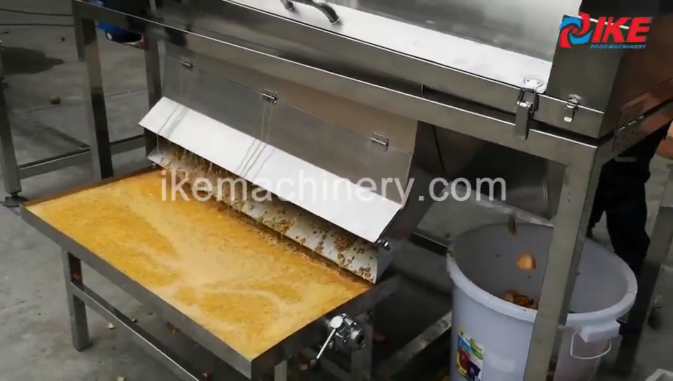 KDS-P300 Pulp separation machine extracts passion fruit pulp