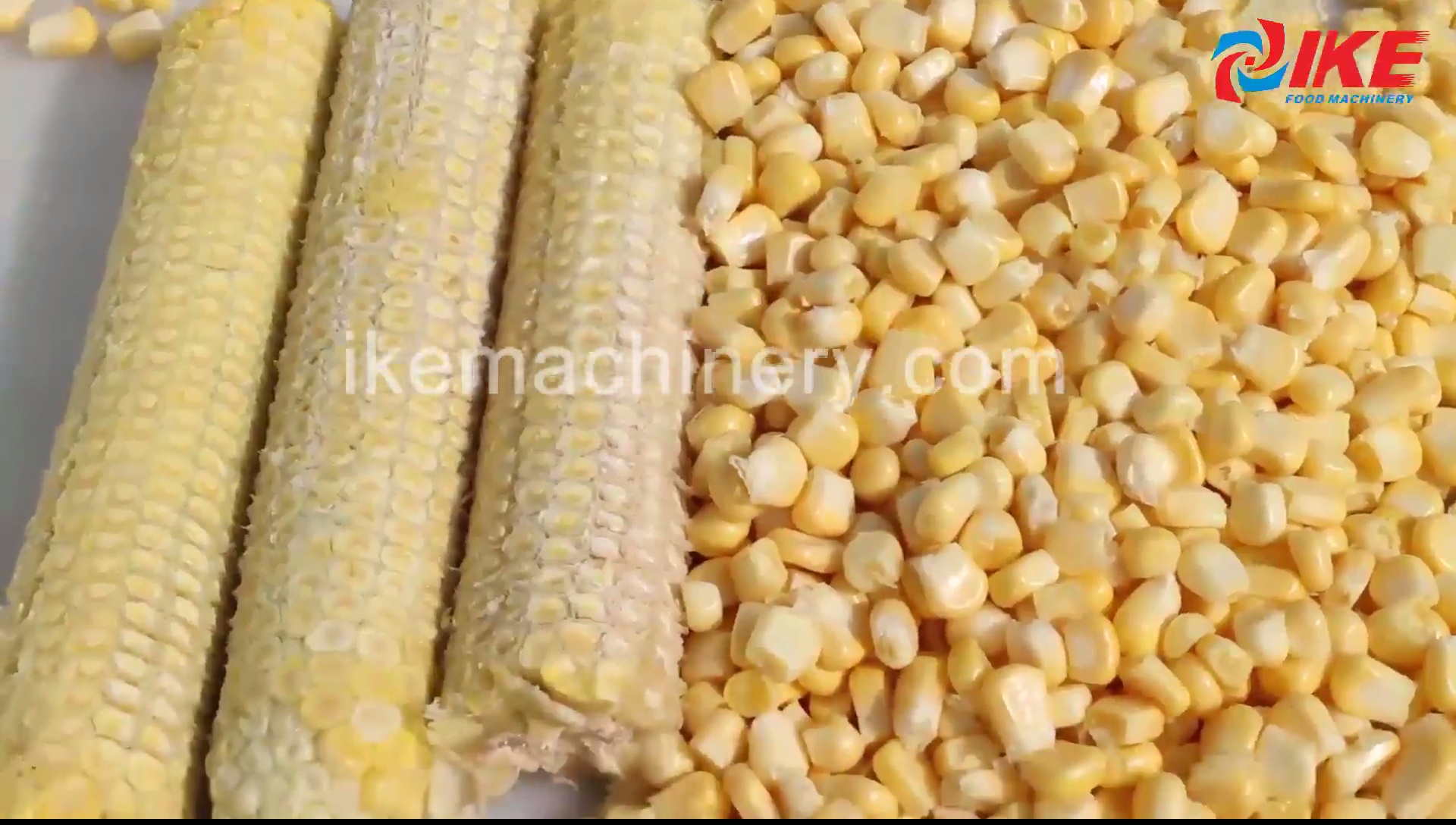 DS-C220 Fresh corn and cooked corn thresher