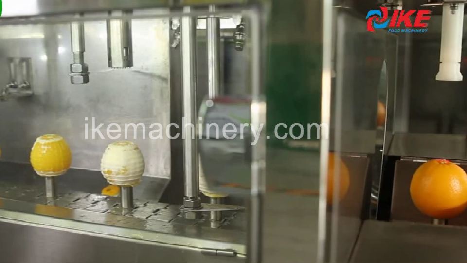 Automatic peeling display of oranges, kiwis, and persimmons