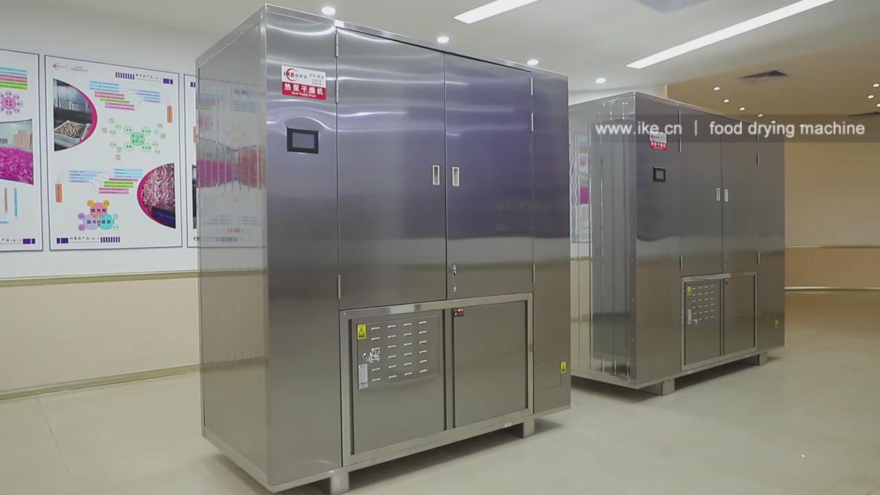 WRH-300GBL cabinet food drying machinery