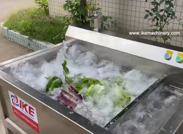 Vegetable and fruit washing