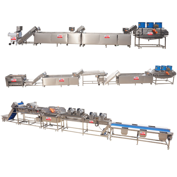 Customize food processing lines and provide workshop solutions