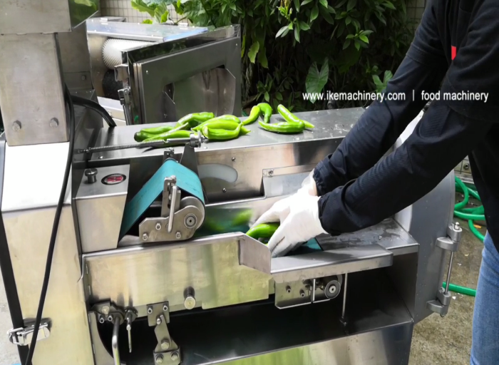 Mechanized cutting of large batches of chilli
