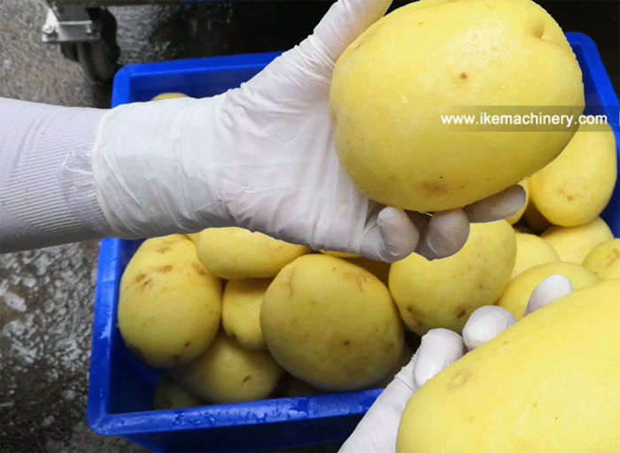 Potato scrubbing and peeling machine