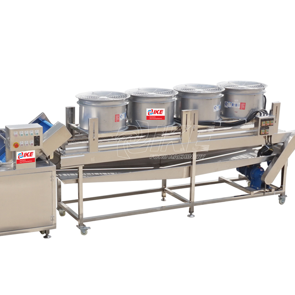 fruit processing line