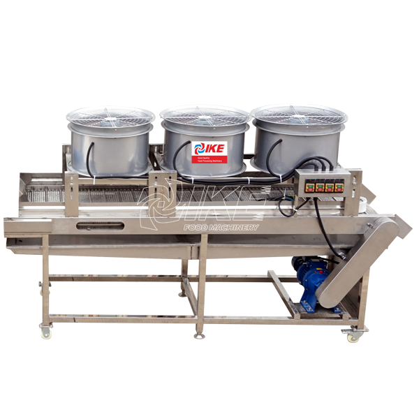 fruit cleaning line solution