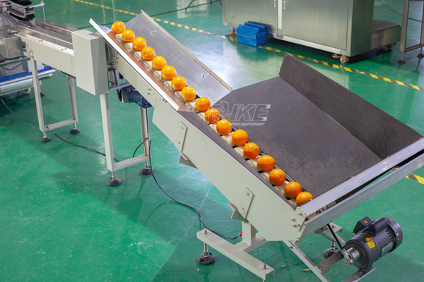 Fresh fruit baling machine