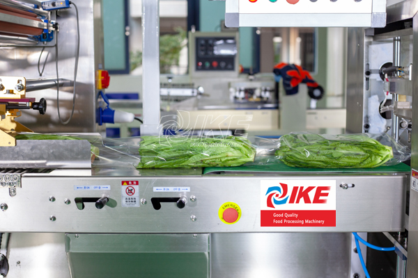 vegetable packaging equipment