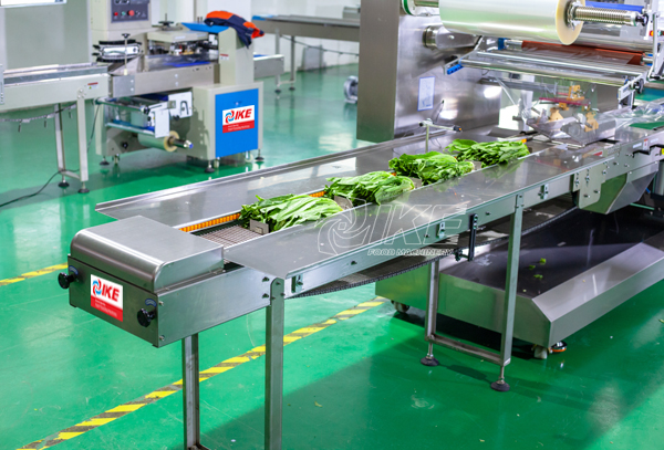 Fresh oil lettuce bag packaging process