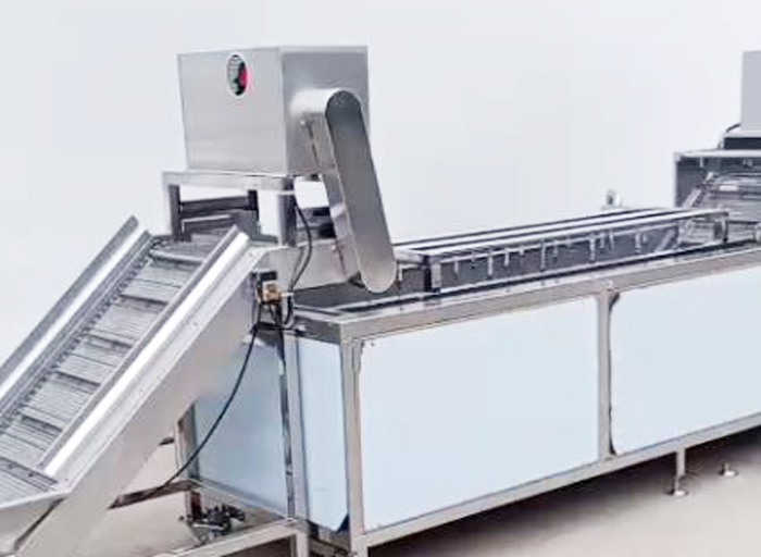 How is the ginger cleaning, cutting and drying processing line composed?