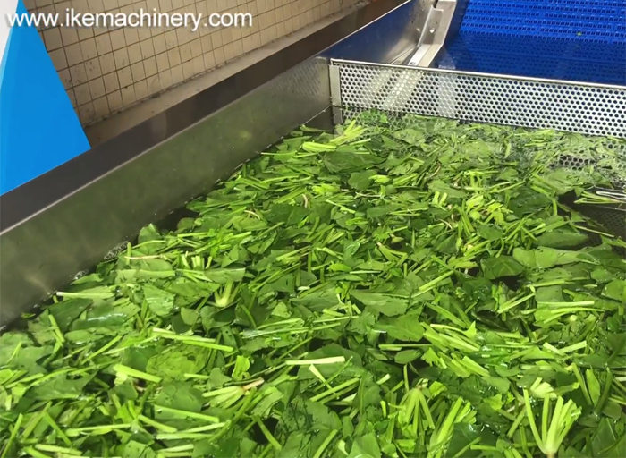 How to wash a lot of spinach?