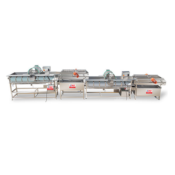 Vegetable washing disinfection and dehydration production line