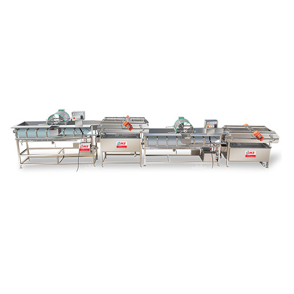 Vegetable wash processing line