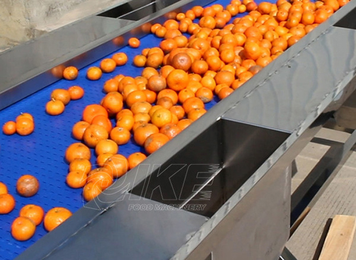 fruit sorting washing air-drying processing line